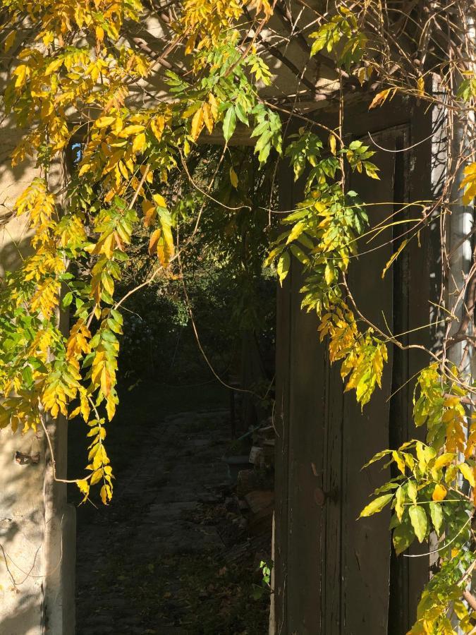 Villa Dans Un Cadre Exceptionnel, Ferme Renovee A 17Km De Paris à Boissy-Saint-Léger Extérieur photo